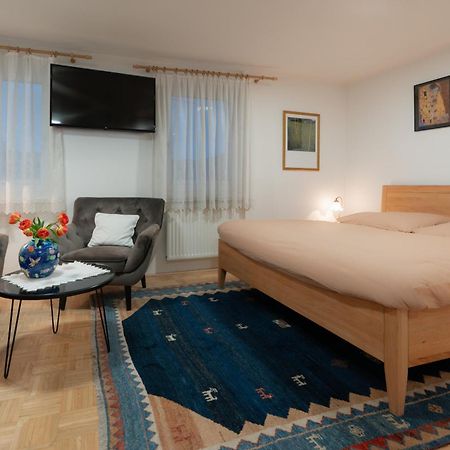 Homely Apartment In The Center With Garden View Gmunden Eksteriør billede